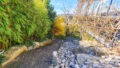 Weg in den Garten