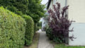 Foto der Immobilie (32895)