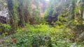 Gartenansicht