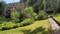 Garten im Sommer 