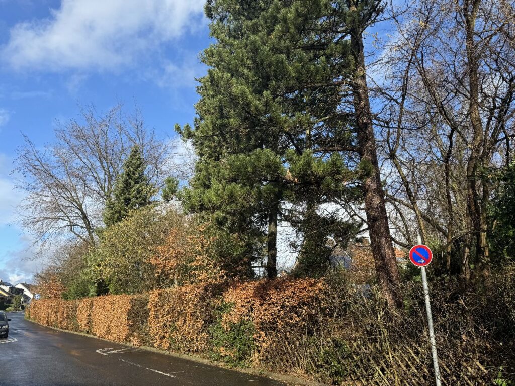 Straßenansicht