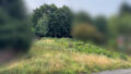 Foto der Immobilie (31091)