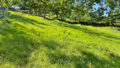 Foto der Immobilie (27595)
