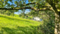 Foto der Immobilie (27596)