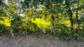 Foto der Immobilie (27597)