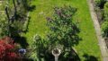 Gartenüberblick