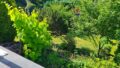 Blick in den Garten
