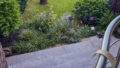 Blick in den Garten