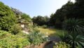 Blick in den Garten