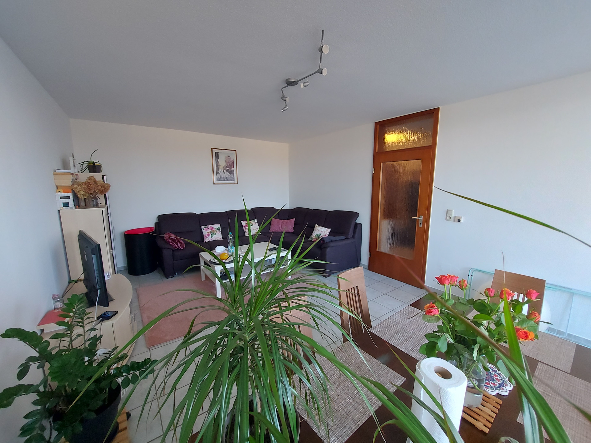 Foto der Immobilie (45537)