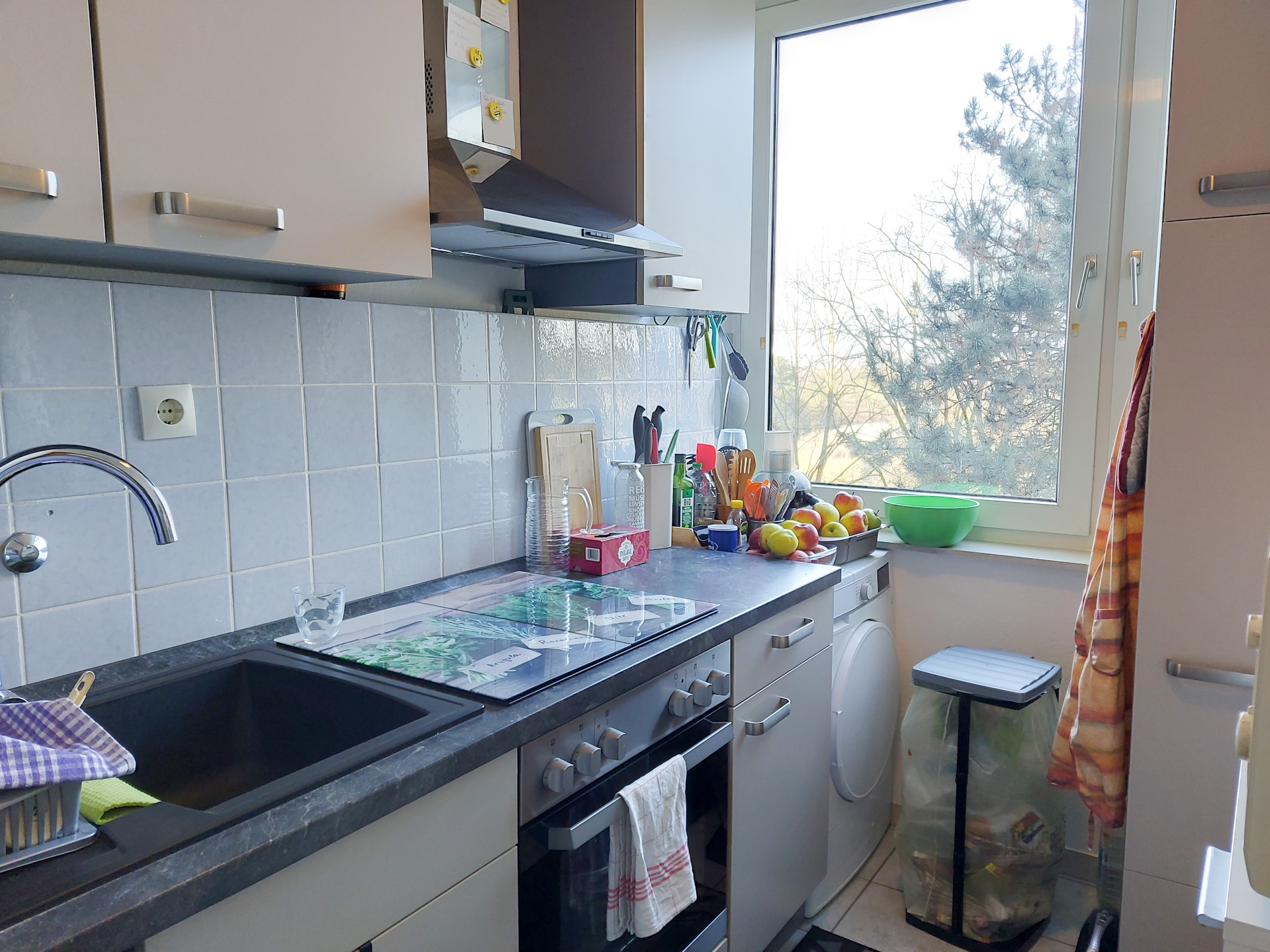 Foto der Immobilie (45538)