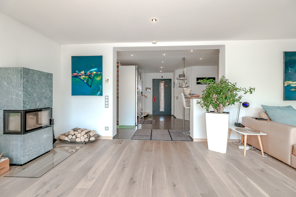 Eingangsbereich / Kamin