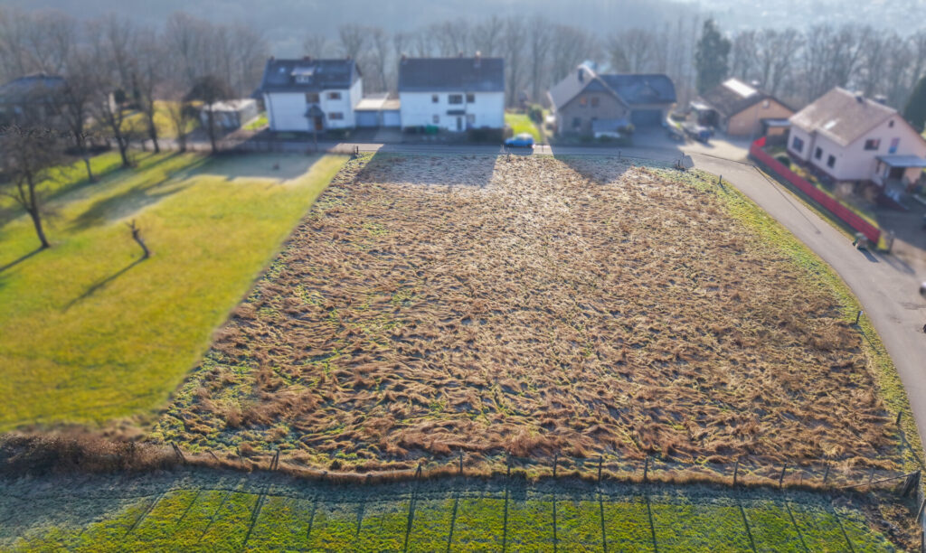 Foto der Immobilie (54884)