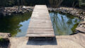 Naturteich mit Holzbrücke 