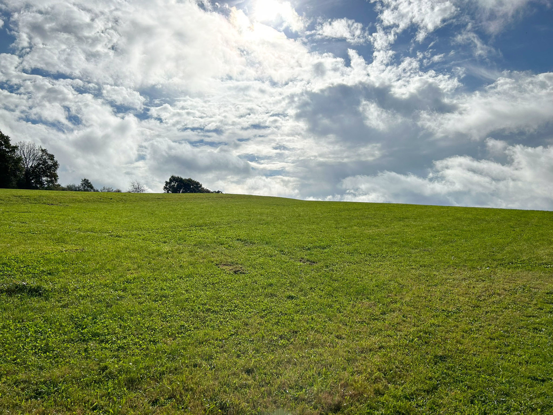 Foto der Immobilie (67791)