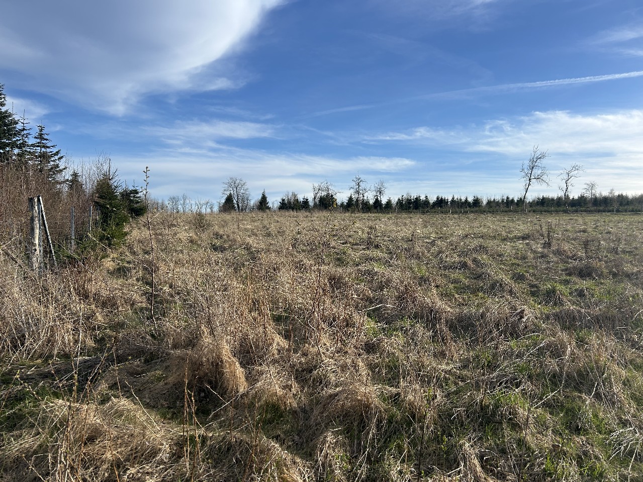 Foto der Immobilie (67976)