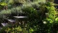 Gartenansicht