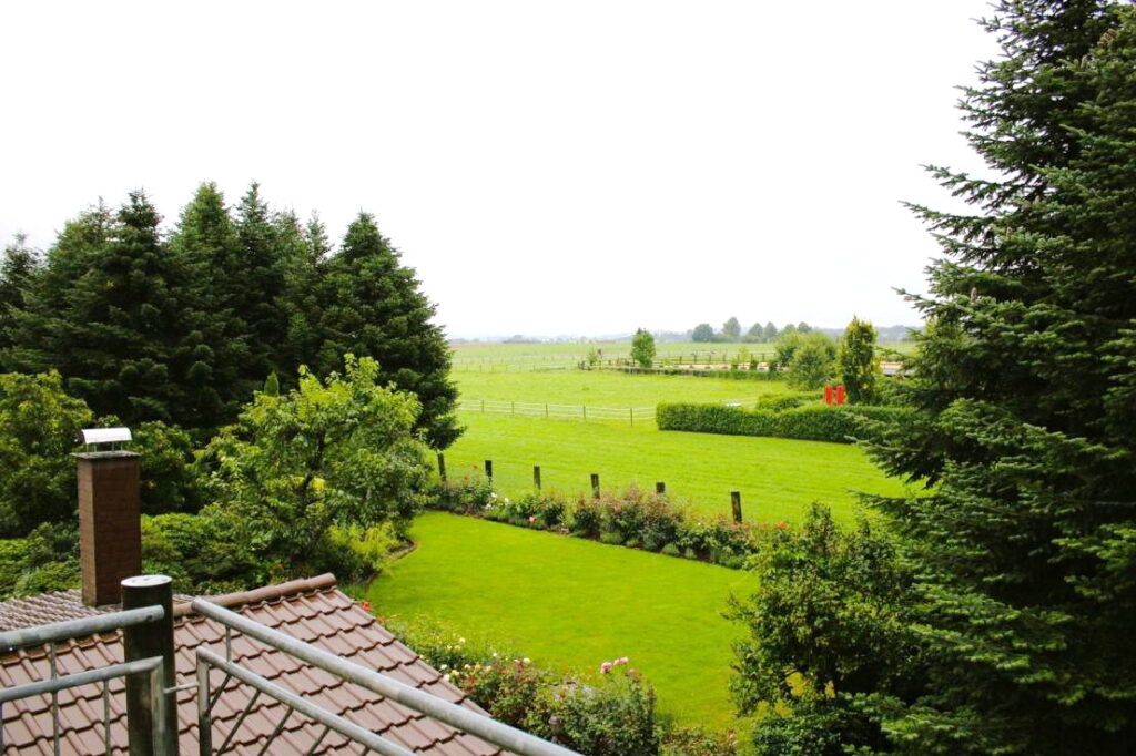 Aussicht vom Balkon