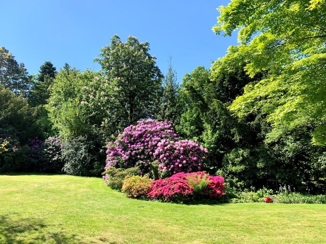 Garten
