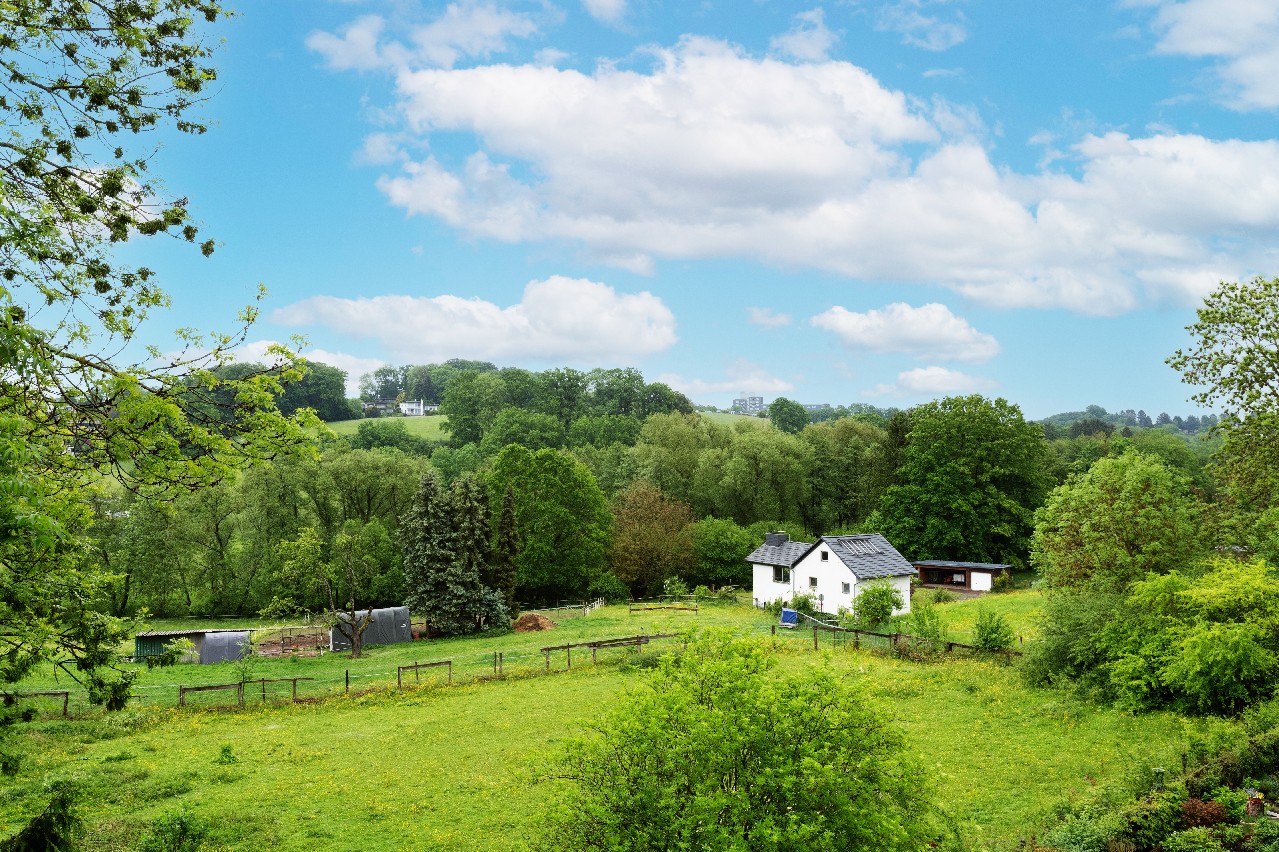 Blick ins Wiembachtal