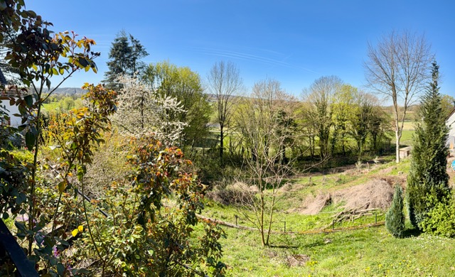 Ausblick