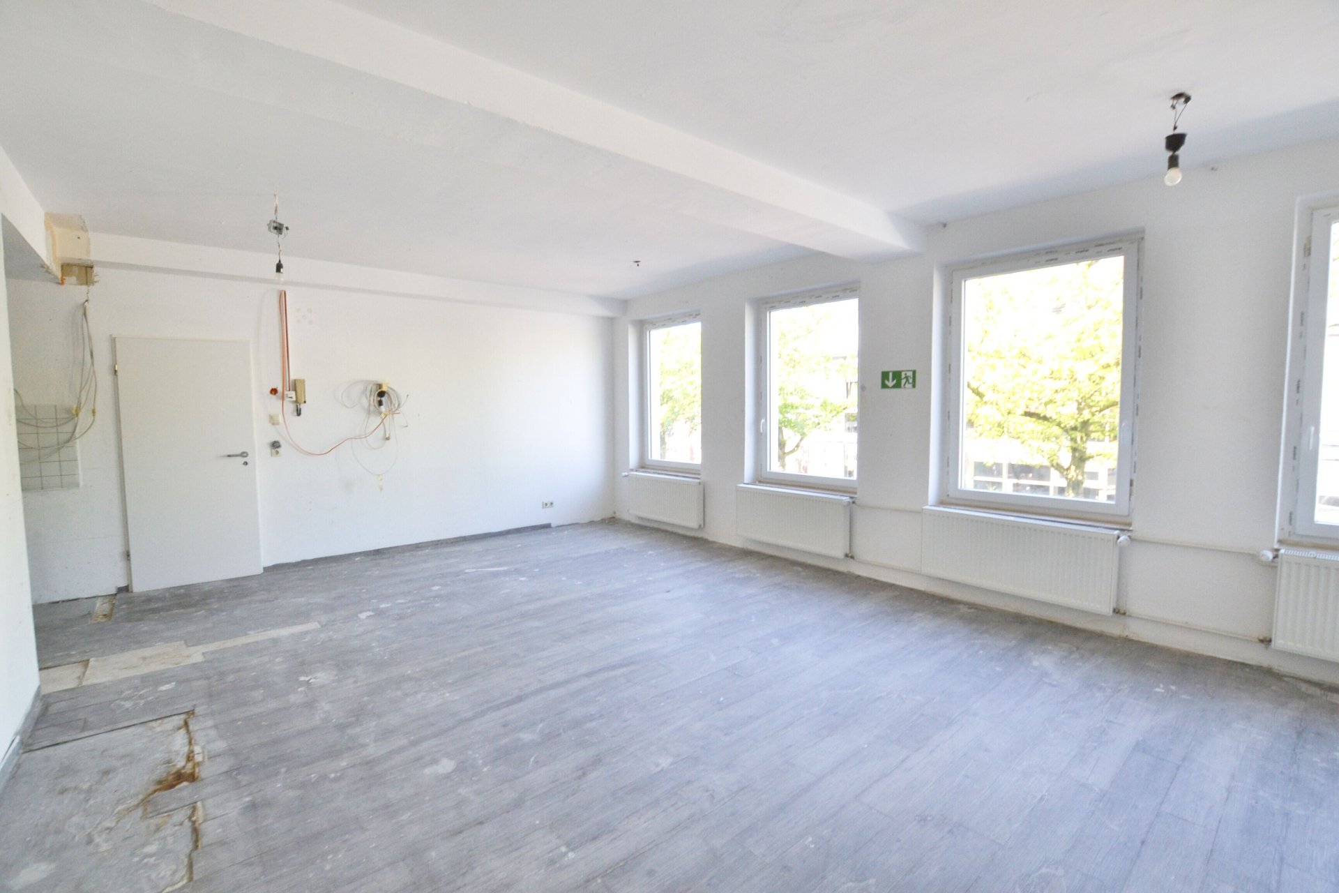 Foto der Immobilie (77738)