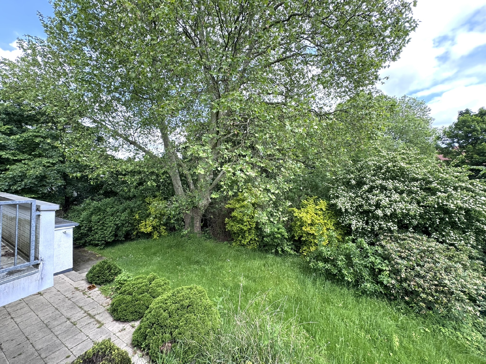Blick in den Garten