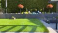 Garten Nahaufnahme