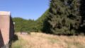 Wiese hinter dem Haus