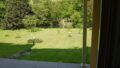 Teilansicht Garten