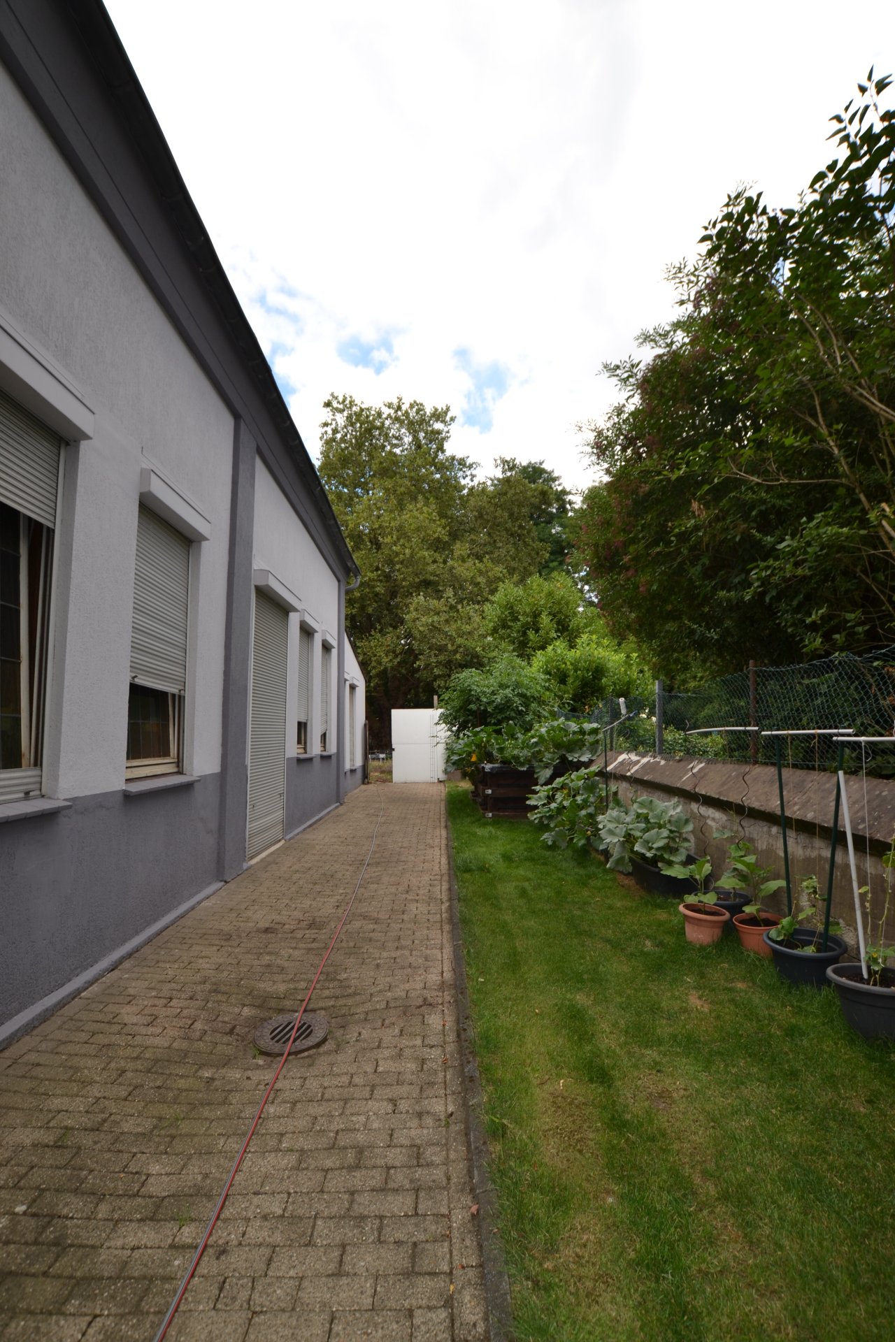 Foto der Immobilie (88468)