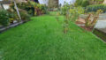 Blick in den Garten