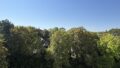 Ausblick