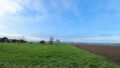 Foto der Immobilie (99246)