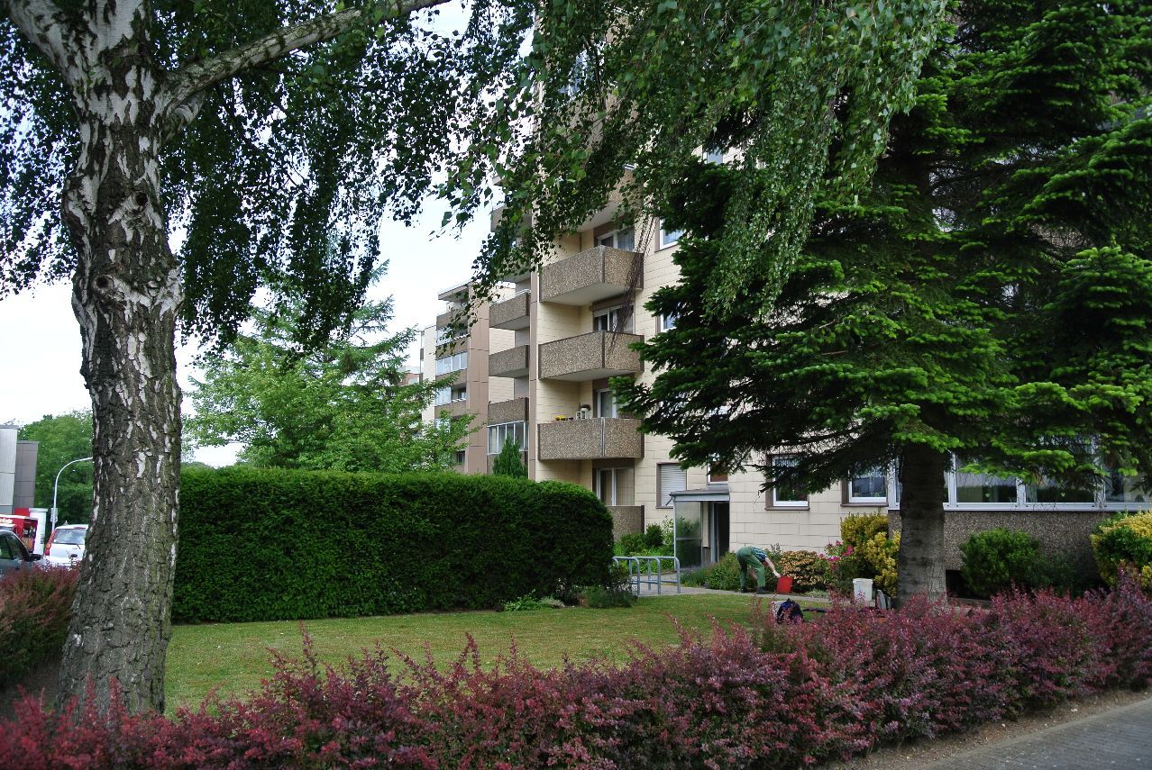 Foto der Immobilie (100184)