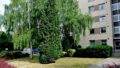 Foto der Immobilie (100187)