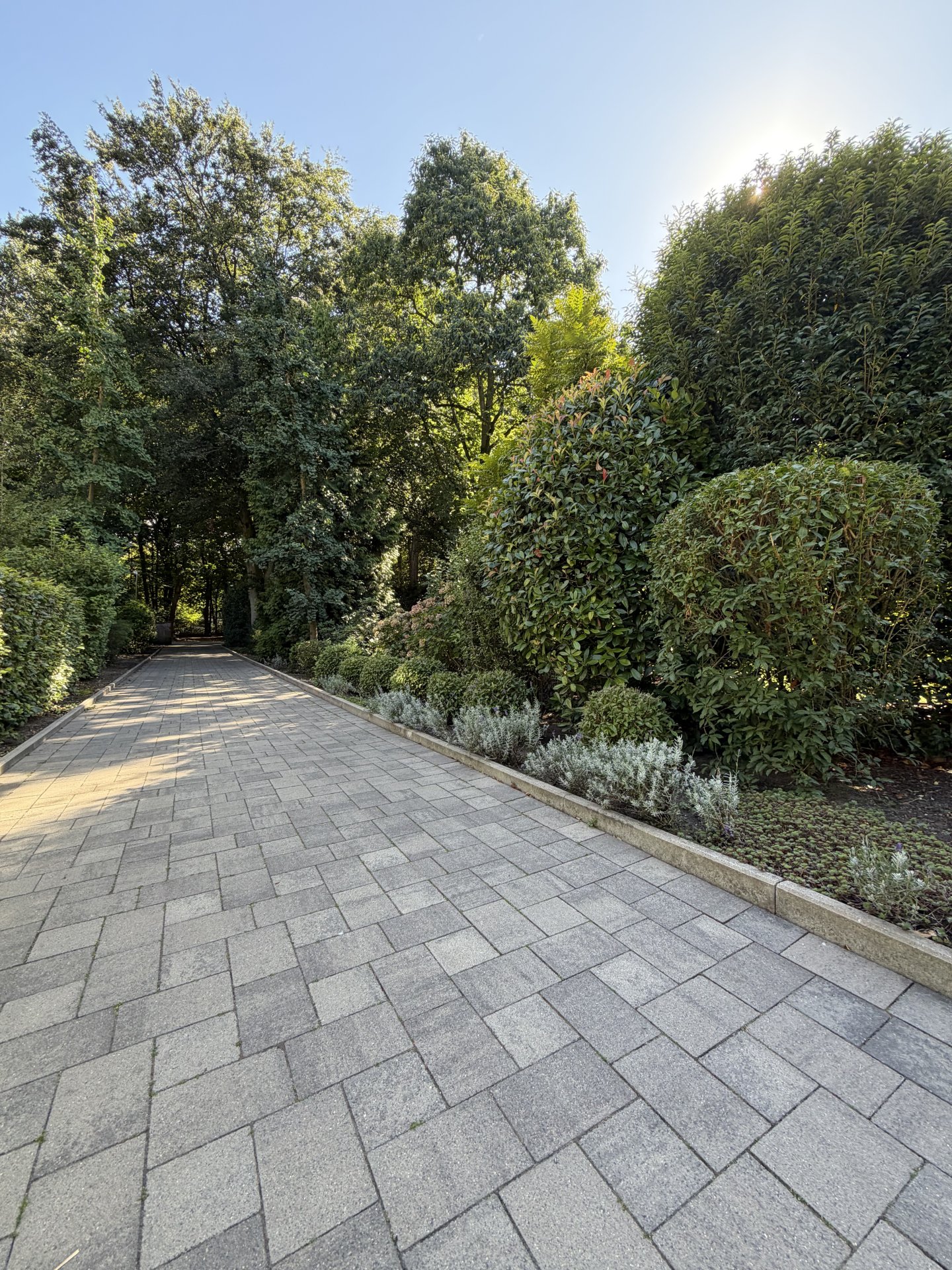 gepflasterte Terrasse