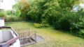 Garten hinter dem Haus
