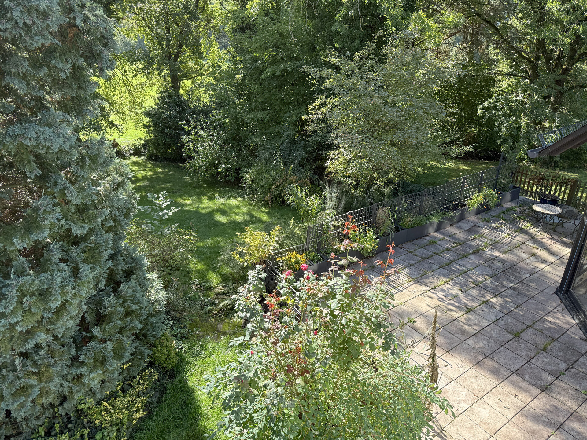 Blick auf Garten und Terrasse