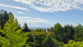 Fernblick