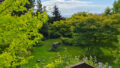 Blick in den Garten