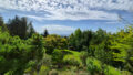 Blick in den Garten