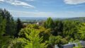 Fernblick