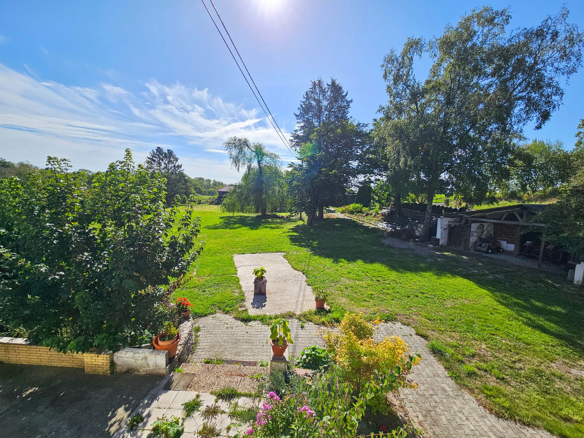 Blick in den Garten
